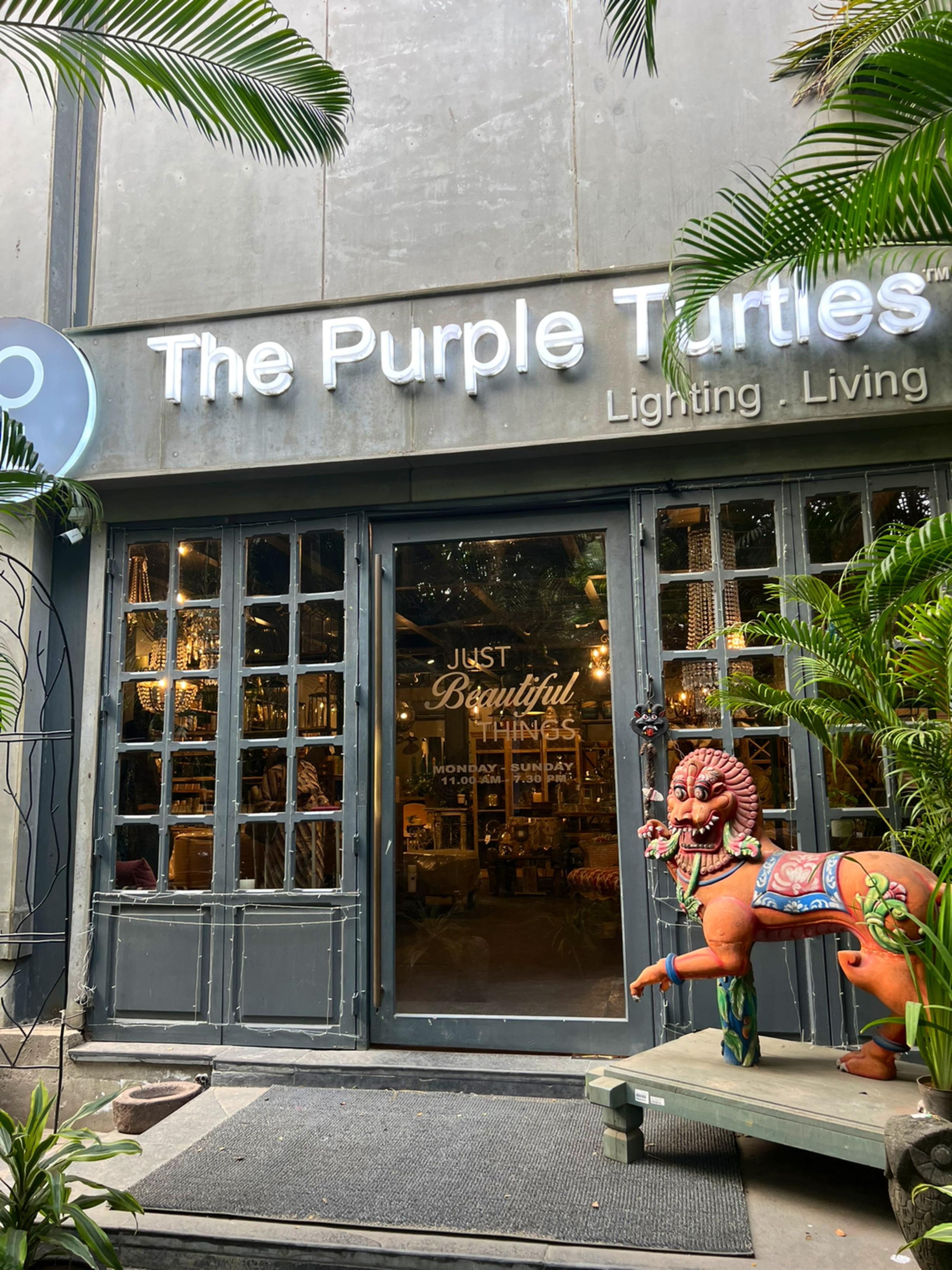 The Purple Turtles