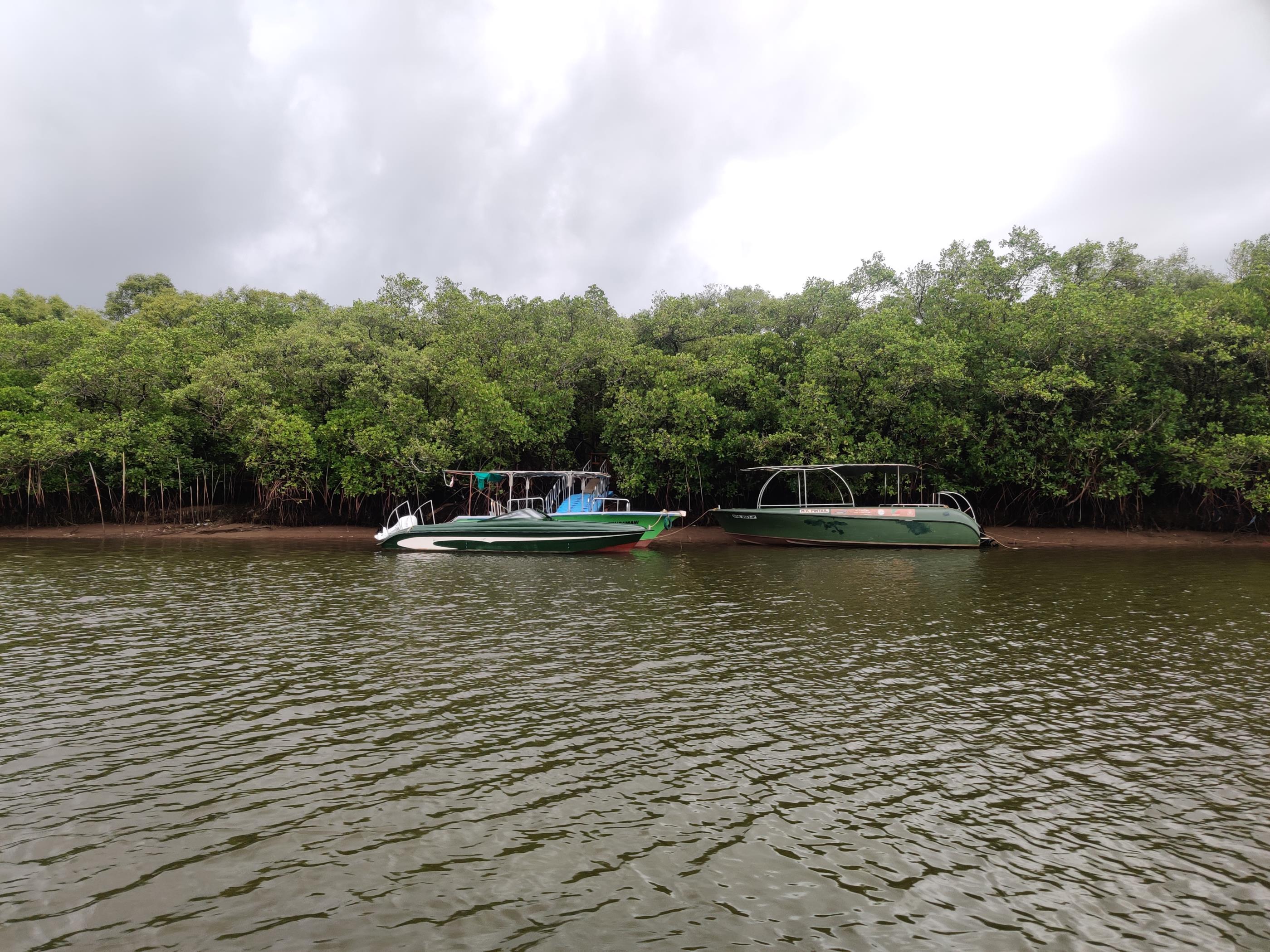 Chorão Island