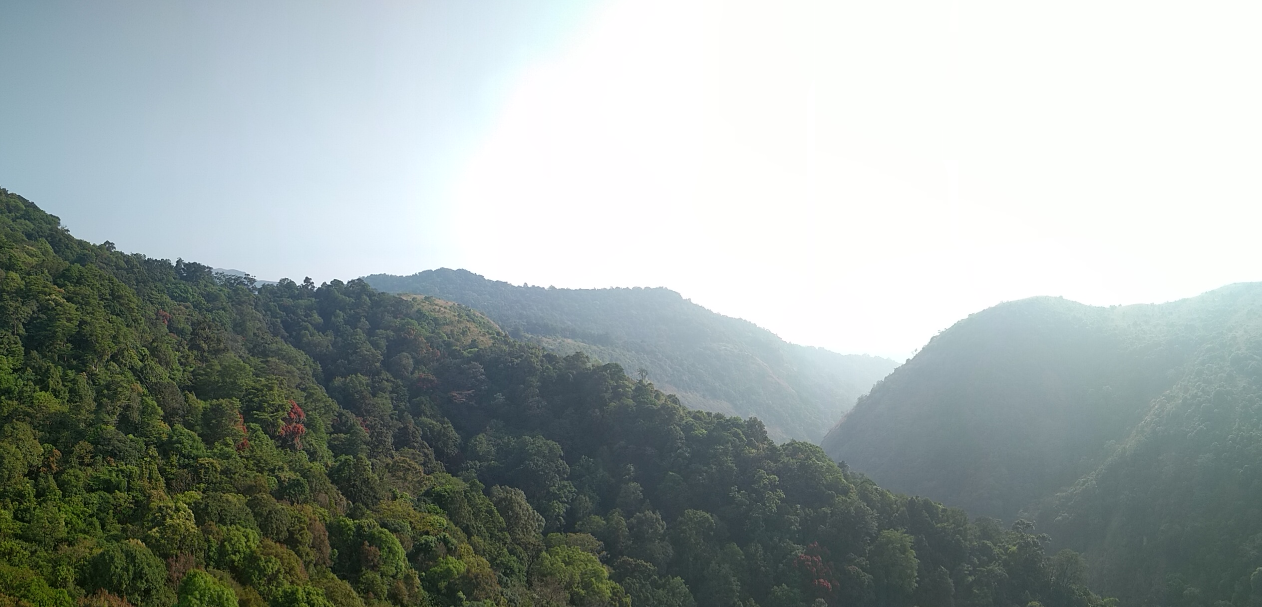 Silent Valley National Park